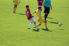 IMG_1913