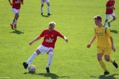 IMG_1921