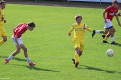 IMG_1931