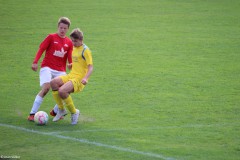 IMG_1941